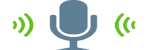 Interview Transcription
