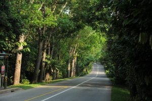 Lim Chu Kang Singapore